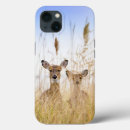 Search for white tailed deer iphone cases Fawn
