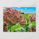 Search for think green postcards Floral