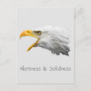 Search for alert postcards Animal