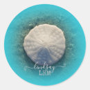 Search for sea shell envelope seals Ocean