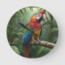 Search for parrot clocks Macaw