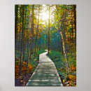 Search for walking path posters Landscape