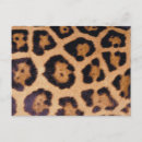 Search for brown leopard postcards Animal