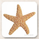 Search for creatures photography Sealife