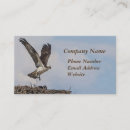 Search for nest business cards Nature