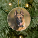 Search for dog run christmas tree decorations Pet