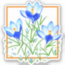Search for crocus stickers Flowers