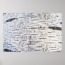 Search for birch bark posters Nature