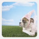 Search for puppy head stickers Domestic animals