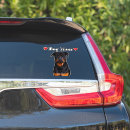 Search for rottweiler gear bumper stickers Puppy