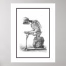 Search for hipster skull posters Skeleton