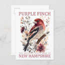 Search for finches postcards Watercolor