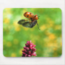 Search for ladybird mouse mats Outdoors