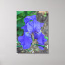 Search for iris flowers canvas prints Nature