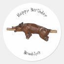 Search for cartoon pig stickers Hog