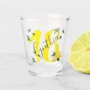 Search for birthday shot glass barware 21st