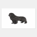 Search for newfoundland dog stickers Breed