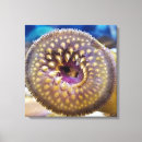 Search for aquarium canvas prints Sea life