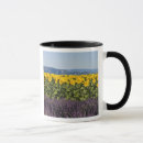 Search for lavender fields mugs Provence