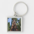 Search for massive key rings California