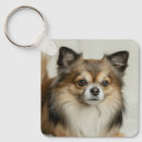 Search for chihuahua dog key rings Puppies