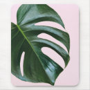 Search for cheese electronics Monstera