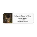 Search for antlers return address labels Wild