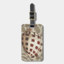 Search for seashells accessories Coastal