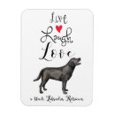 Search for black lab magnets Black labrador retriever