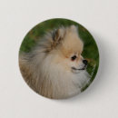 Search for profile badges Canine photographer