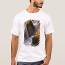 Search for wilderness tshirts Desert