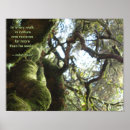Search for john muir quote posters Woods