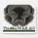 Search for wild one mouse mats Dog