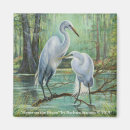 Search for bayou magnets Water