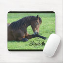 Search for pony electronics Equestrian