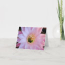 Search for michelle cards Photograph