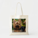 Search for yorkie accessories Canine
