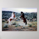 Search for two animals posters Playing