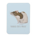 Search for cute rats magnets White rat