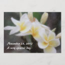 Search for plumeria invitations Hibiscus