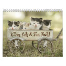 Search for cat calendars Fun