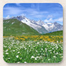 Search for landscape coasters Swiss alps