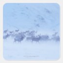 Search for low temperature stickers Animal