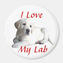 Search for labrador magnets Puppy