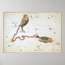 Search for pisces star sign posters Fish