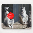 Search for lemurs electronics Funny