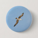 Search for seagulls badges Sky