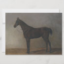 Search for bay horse cards Equine