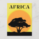Search for acacia postcards Africa