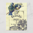 Search for vintage birdcage postcards Floral